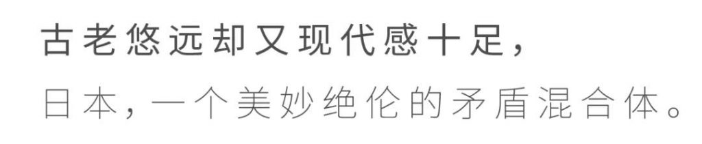 环球飞行日本03- 维思达公务机