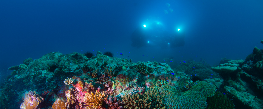 submarine-adventures-in-the-caribbean