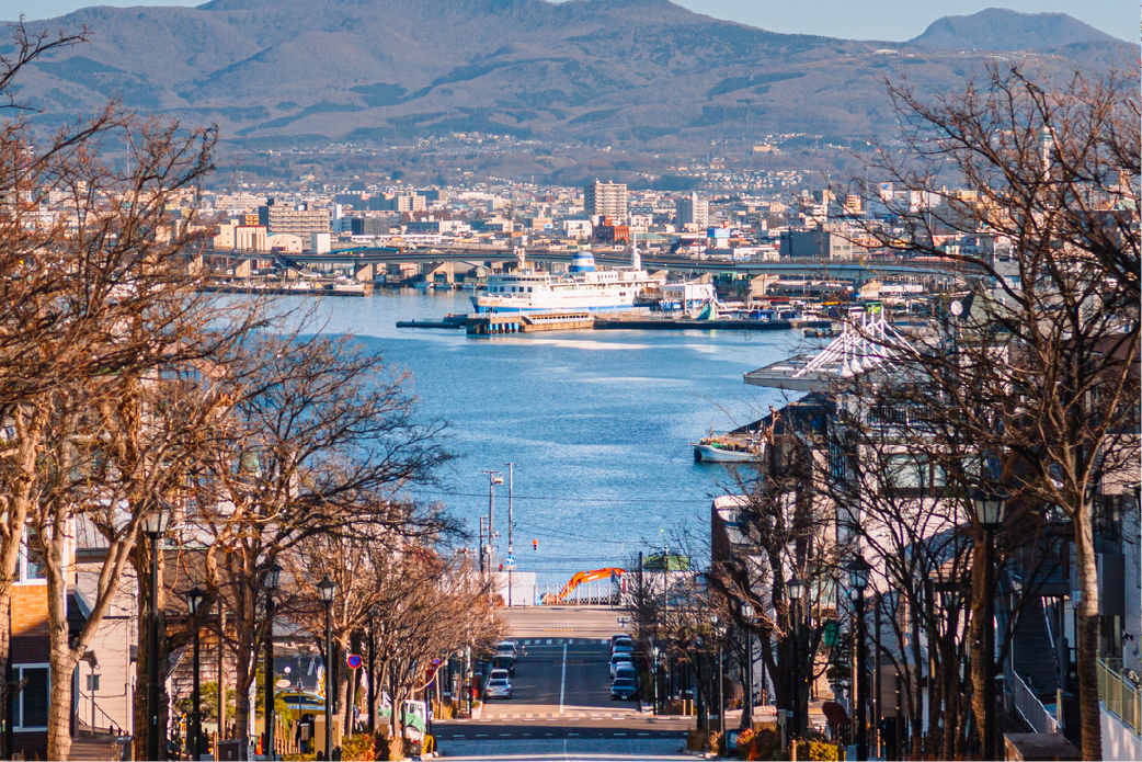 日本北海道函馆海湾与城市景观