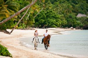 activity-horseback-riding-1-3cz9n9qjwcnr43ndd6p88w.jpg